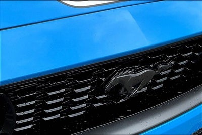 2022 Ford Mustang Mach 1