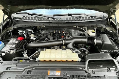 2025 Ford Expedition Tremor