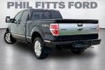 2014 Ford F-150 Platinum