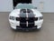 2008 Ford Mustang GT Premium