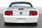 2008 Ford Mustang Shelby GT500