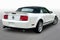 2008 Ford Mustang Shelby GT500