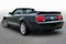 2008 Ford Mustang Shelby GT500