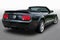 2008 Ford Mustang Shelby GT500