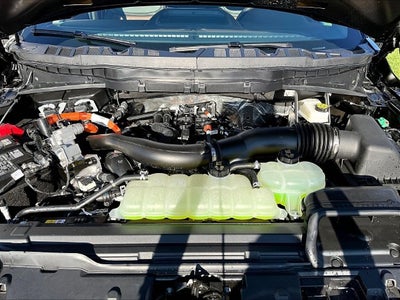 2026 Ford F-150 King Ranch®